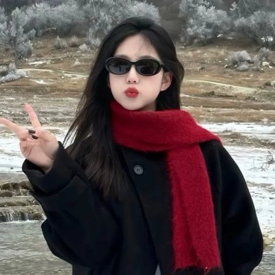 飞虎之潜行极战国语
